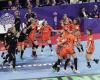 EHF Euro 2018, Europameisterschaft Frauen, NED-GER, Die Niederlande bejubeln den Halbfinaleinzug