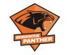 Neues Logo der Bergischen Panther
