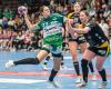 Frisch Auf Göppingen unterlag gegen den HC Rödertal und konnte den Ausrutscher von Spitzenreiter Werder Bremen in der 2. Handball Bundesliga der Frauen nicht nutzen.